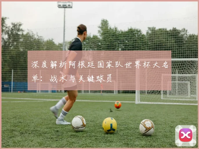 深度解析阿根廷国家队世界杯大名单：战术与关键球员